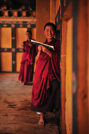 young monk studying