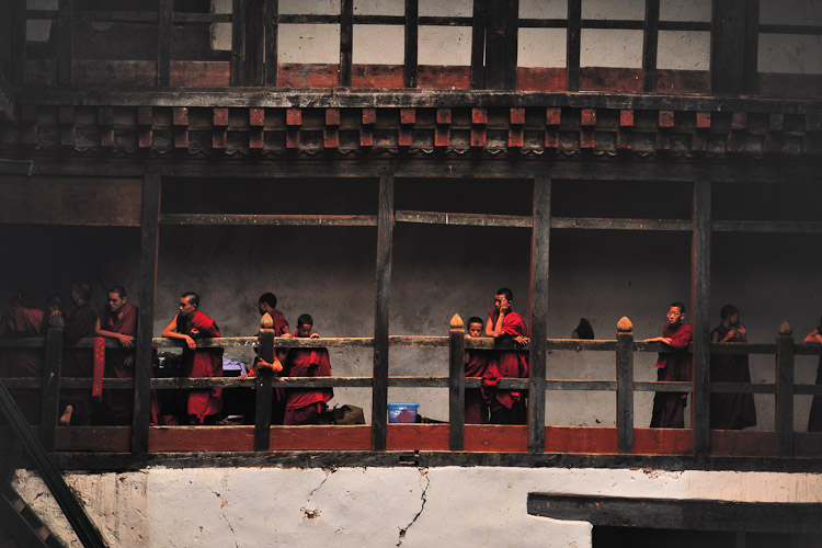 student monks in prayer